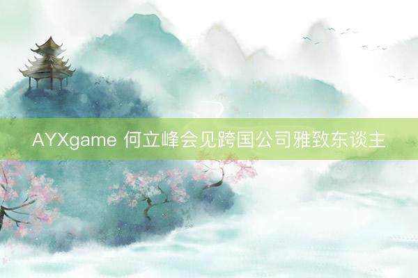 AYXgame 何立峰会见跨国公司雅致东谈主