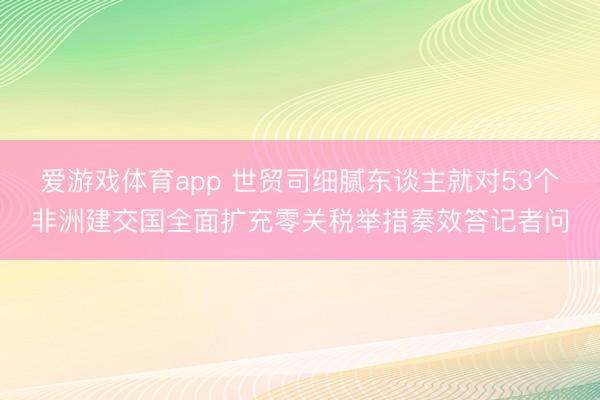 爱游戏体育app 世贸司细腻东谈主就对53个非洲建交国全面扩充零关税举措奏效答记者问